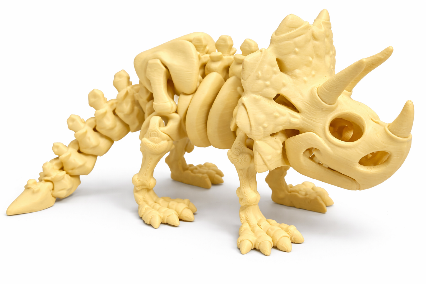 Flexi Skeleton Triceratops