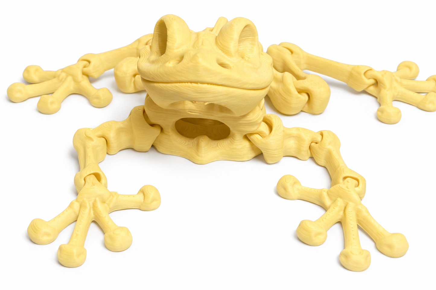 Flexi Skeleton Frog