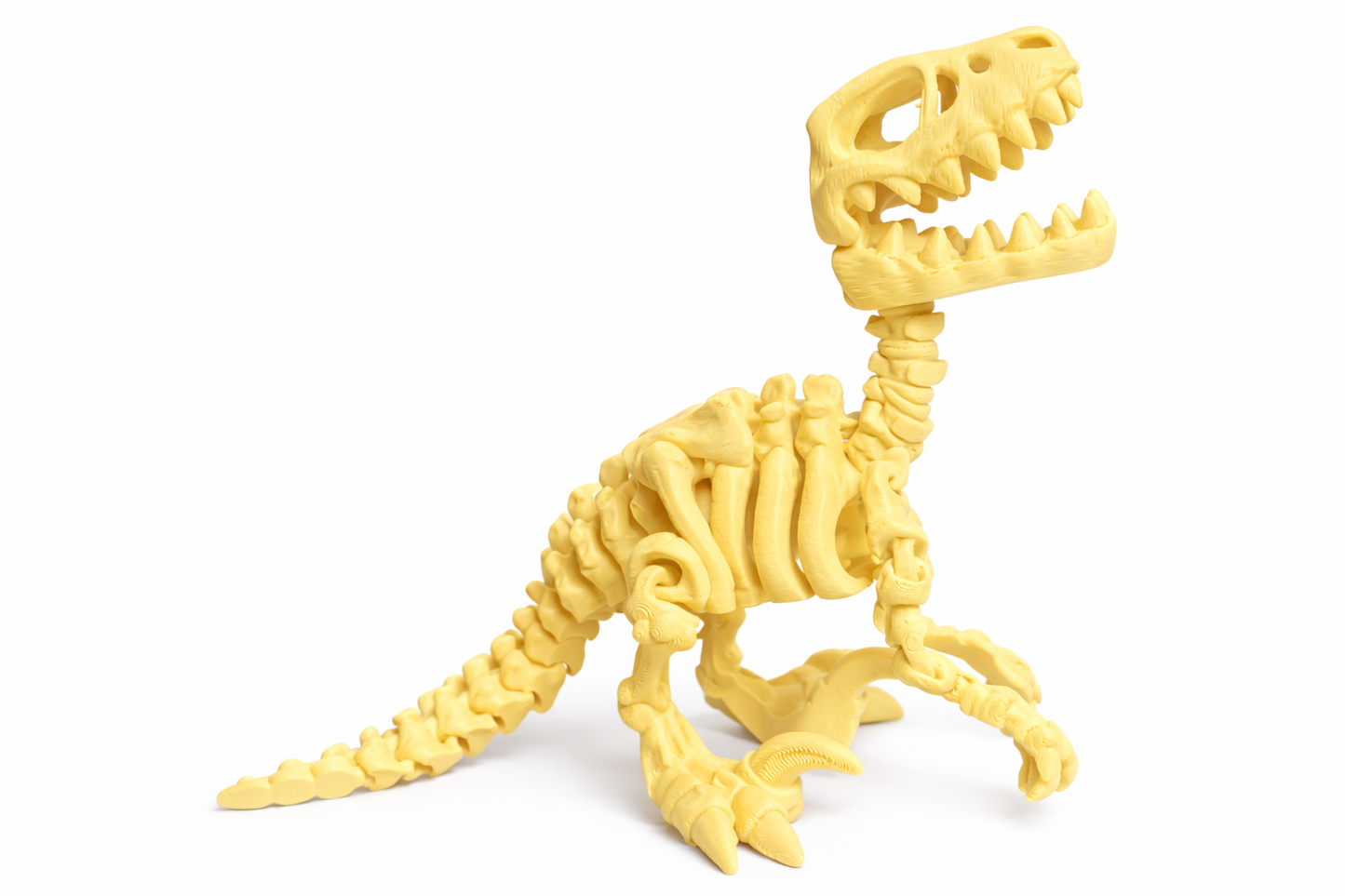 Flexi Skeleton Raptor