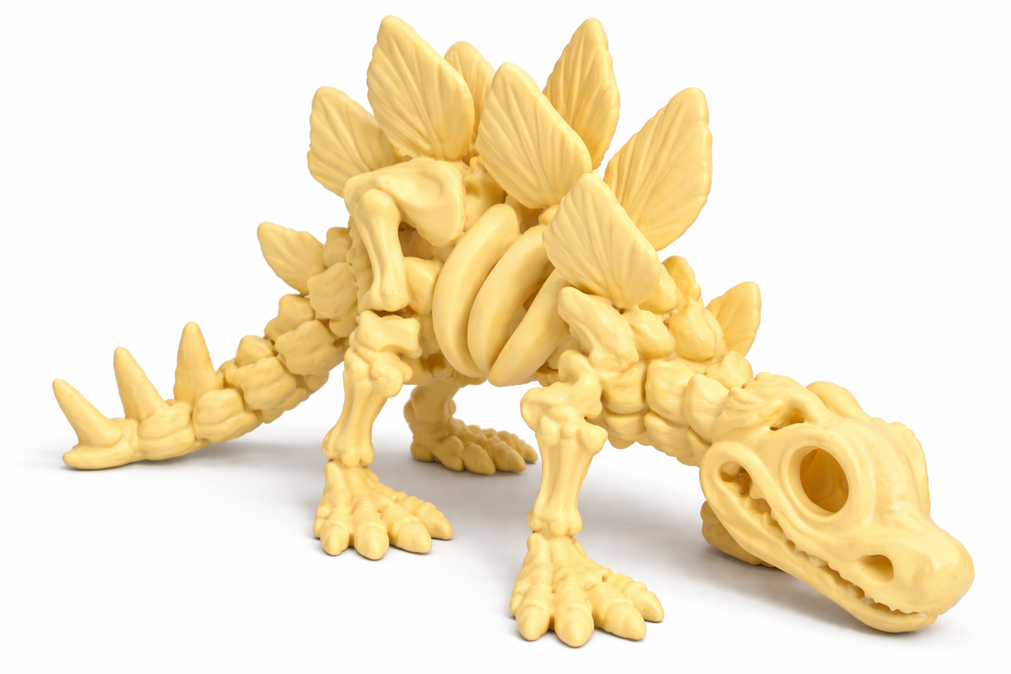Flexi Skeleton Stegosaurus